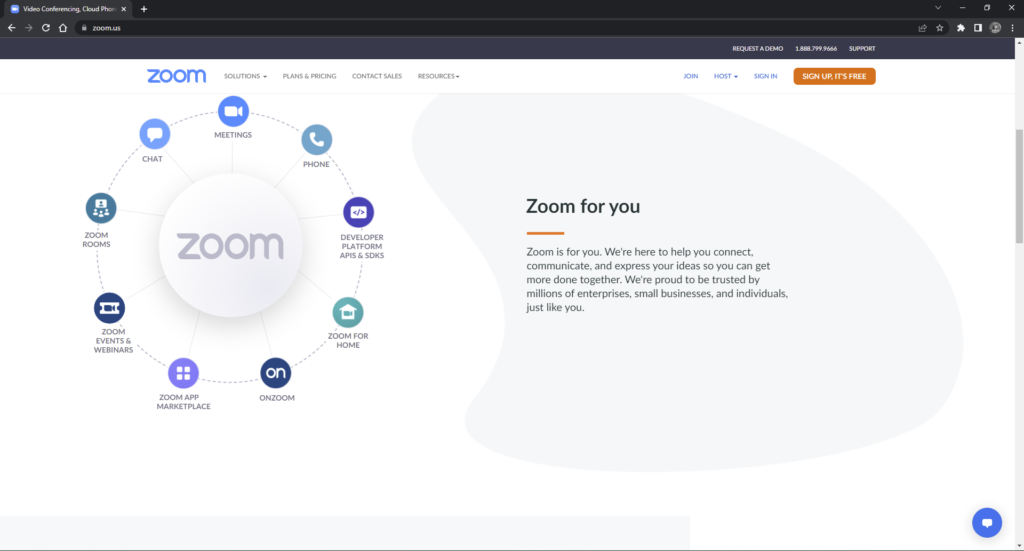 Chrome browser for Zoom.