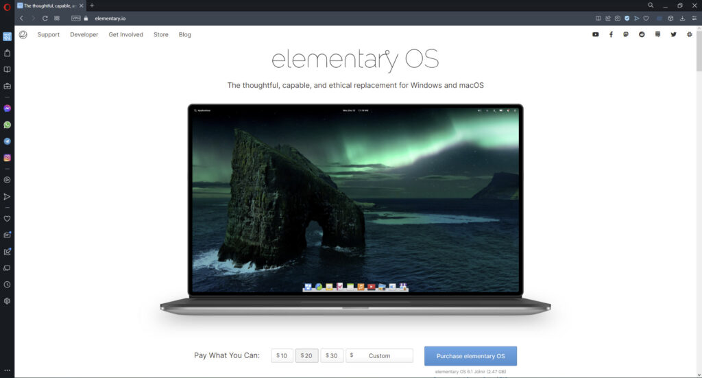 Opera best browser for Elementary OS.
