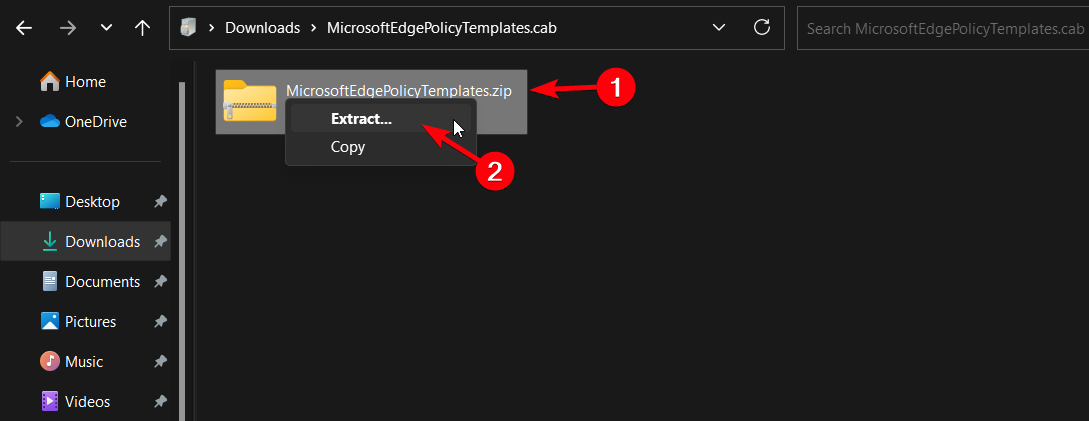 extract zip file policy