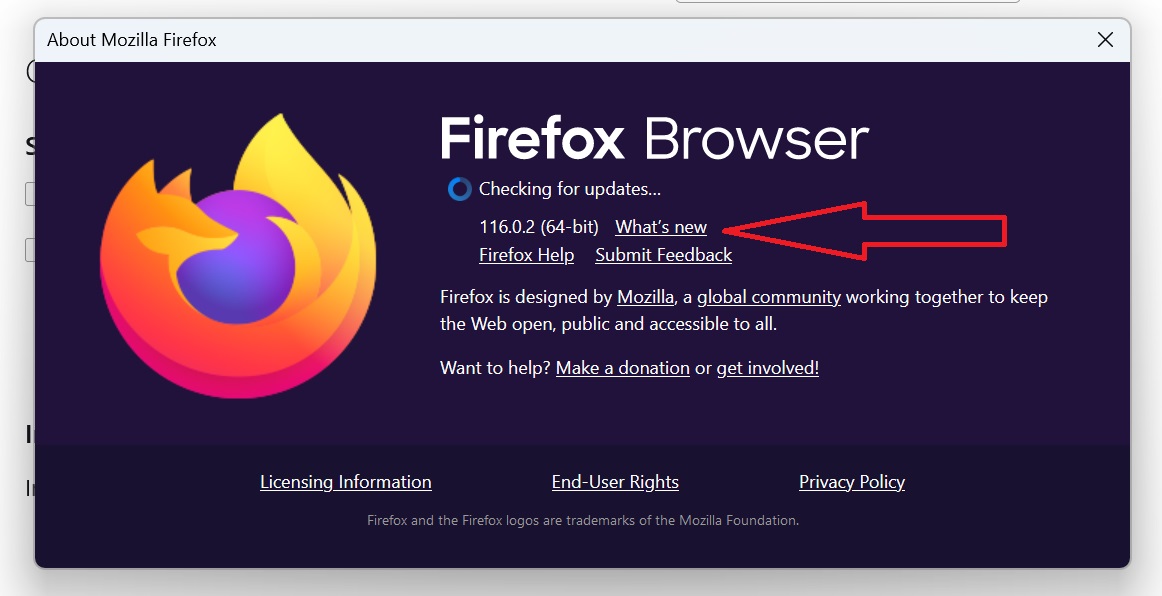 Firefox browser version